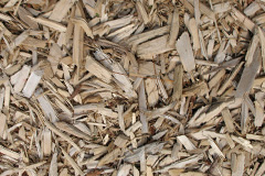 biomass boilers Rhosgadfan